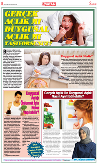 8. sayfayı büyük boyutta görüntülemek için tıklayınız.