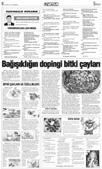 8. sayfayı büyük boyutta görüntülemek için tıklayınız.